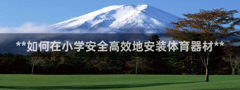 耀世娱乐网站官网：**如何在小学安全高效地安装体育器