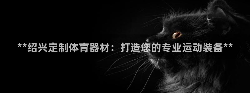 耀世娱乐官网首页登录：**绍兴定制体育器材：打造您的