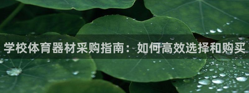 耀世娱乐官网首页登录入口：学校体育器材采购指南：如何