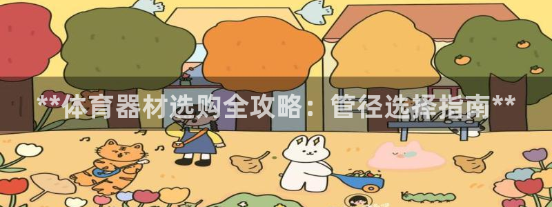 耀世平台下载：**体育器材选购全攻略：管径选择指南*