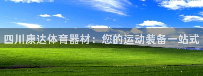 耀世娱乐脚本下载安装：四川康达体育器材：您的运动装备