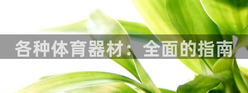 耀世娱乐骗局：各种体育器材：全面的指南