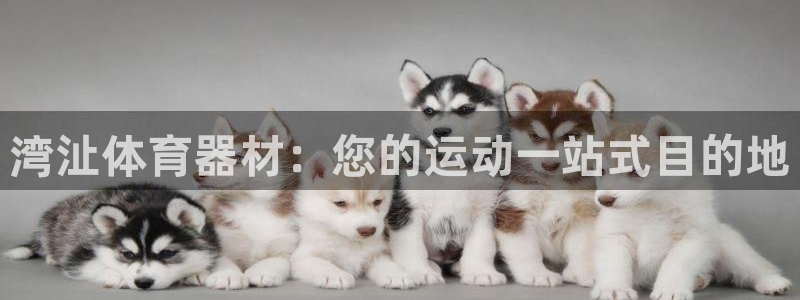 耀世而生：湾沚体育器材：您的运动一站式目的地