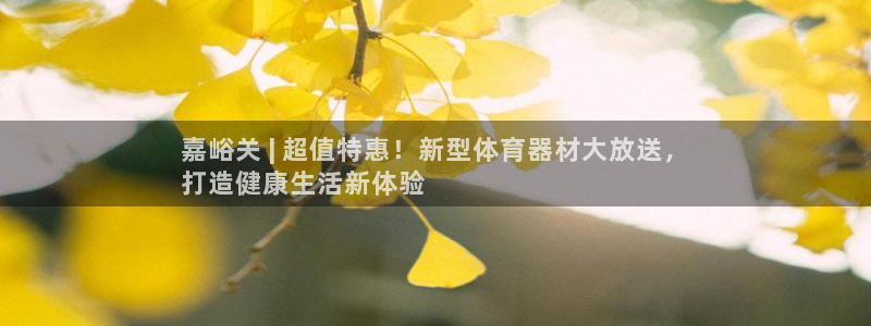 耀世是什么意思：嘉峪关 | 超值特惠！新型体育器材大