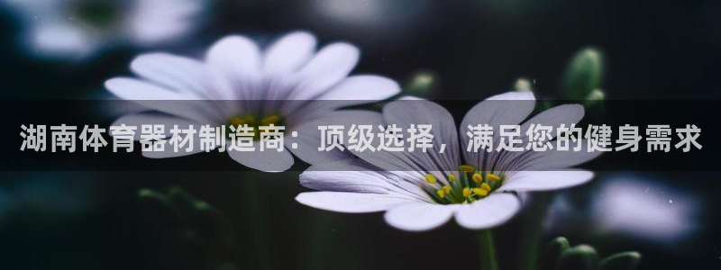 耀世集团董事长是谁啊：湖南体育器材制造商：顶级选择，