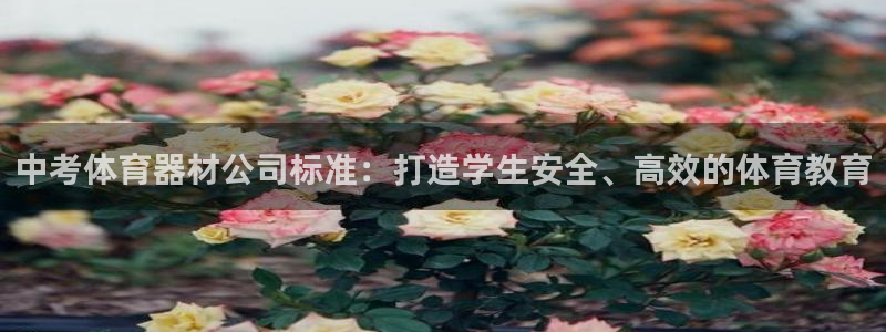 耀世平台注册网址是什么意思：中考体育器材公司标准：打
