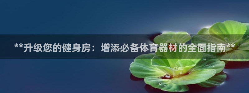 耀世娱乐登录注册流程：**升级您的健身房：增添必备体