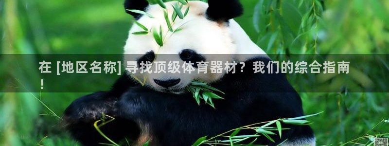 耀世娱乐中国：在 [地区名称] 寻找顶级体育器材？我