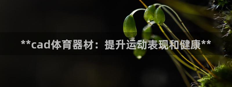 耀世平台注册流程图片：**cad体育器材：提升运动表