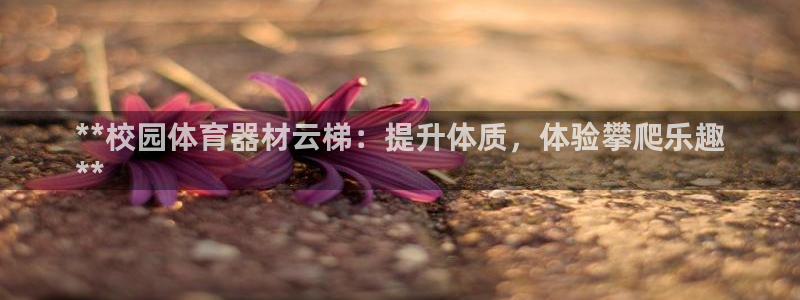 耀世集团七天三倍彩金活动：**校园体育器材云梯：提升