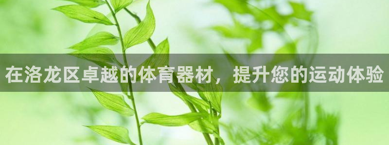 耀世国际平台正规吗可靠吗：在洛龙区卓越的体育器材，提