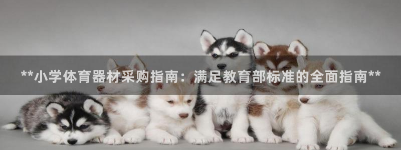 耀世娱乐客服电话是多少：**小学体育器材采购指南：满