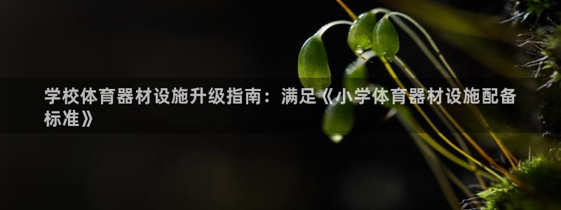 耀世娱乐注册开户流程：学校体育器材设施升级指南：满足