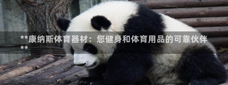 耀世娱乐能提现：**康纳斯体育器材：您健身和体育用品的可靠伙