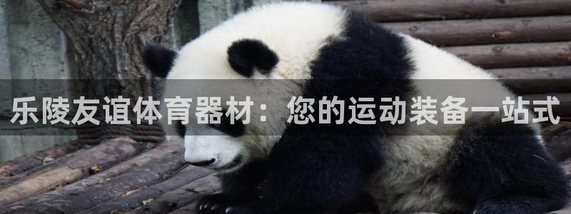 耀世集团总部在哪儿：乐陵友谊体育器材：您的运动装备一