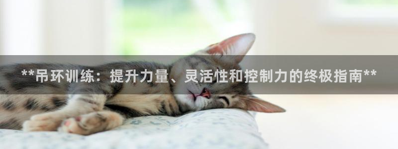 耀世平台有很多登录地址怎么办：**吊环训练：提升力量、灵活性