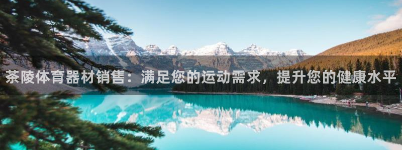 耀世集团王大聪：茶陵体育器材销售：满足您的运动需求，提升您的