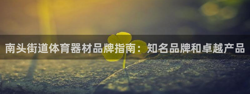 耀世平台的运营模式：南头街道体育器材品牌指南：知名品