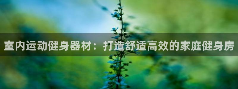 耀世娱乐中国创新：室内运动健身器材：打造舒适高效的家