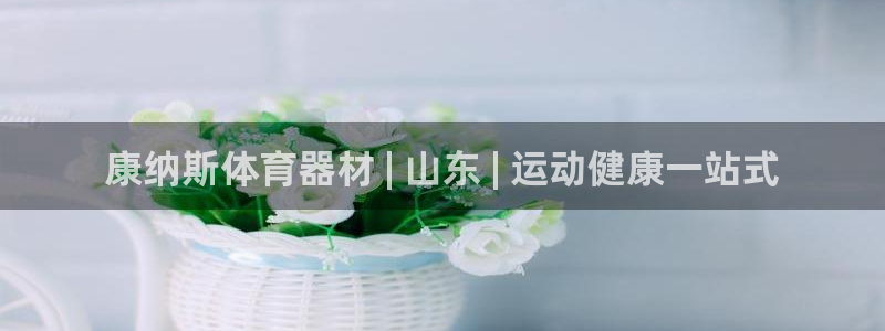 耀世平台app下载官网：康纳斯体育器材 | 山东 |