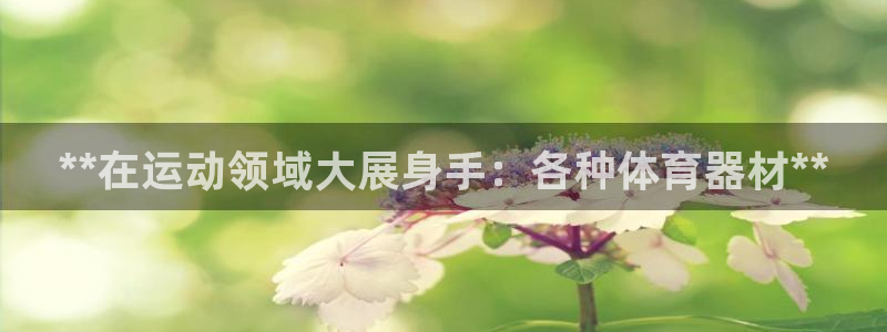耀世娱乐平台注册地址：**在运动领域大展身手：各种体