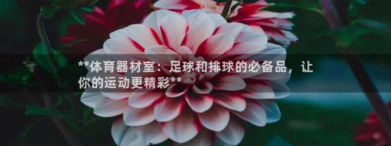 耀世平台日7O777：**体育器材室：足球和排球的必