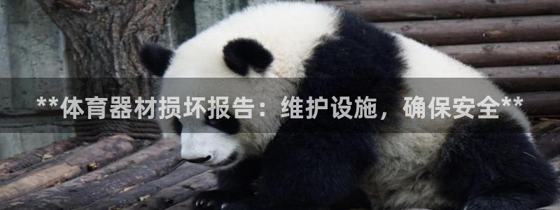 耀世平台有很多登录地址：**体育器材损坏报告：维护设