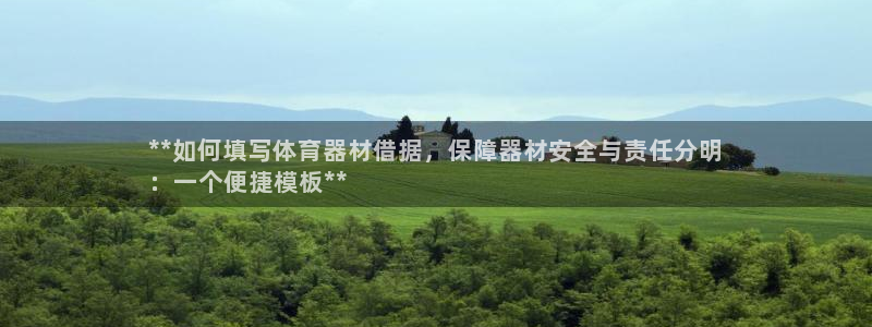 耀世燃气灶是哪个牌子：**如何填写体育器材借据，保障