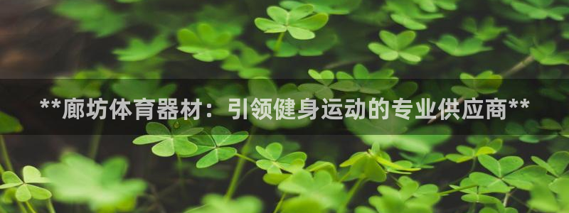 耀世娱乐安全吗：**廊坊体育器材：引领健身运动的专业