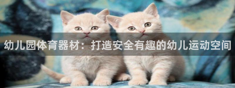 耀世集团董事长是谁啊：幼儿园体育器材：打造安全有趣的