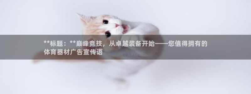 耀世平台总代理电话：**标题：**巅峰竞技，从卓越装
