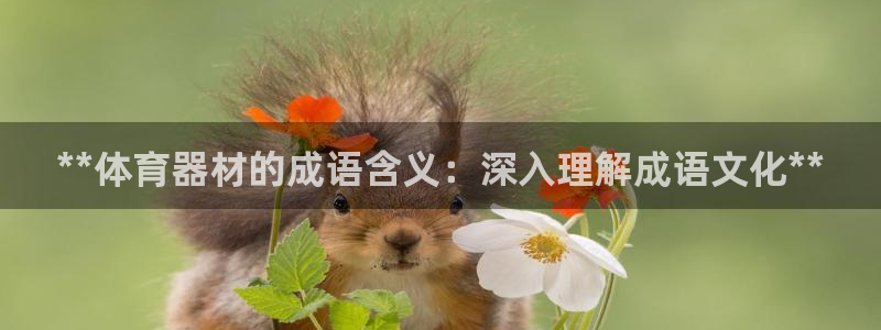 耀世的意思：**体育器材的成语含义：深入理解成语文化
