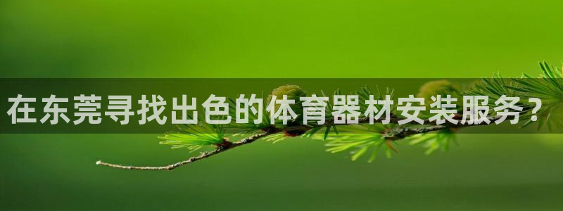 耀世登场：在东莞寻找出色的体育器材安装服务？