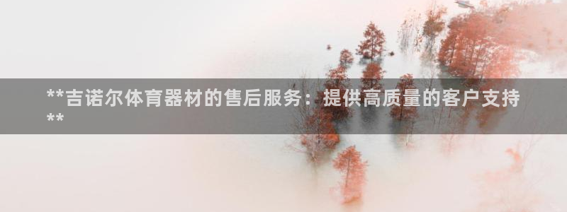 耀世官方网站入口：**吉诺尔体育器材的售后服务：提供
