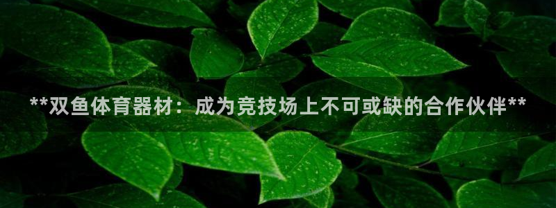 耀世娱乐在线登录官网入口网址：**双鱼体育器材：成为