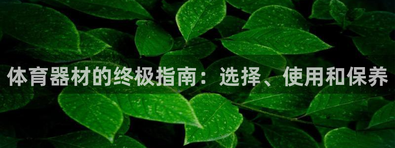 耀世娱乐软件下载：体育器材的终极指南：选择、使用和保