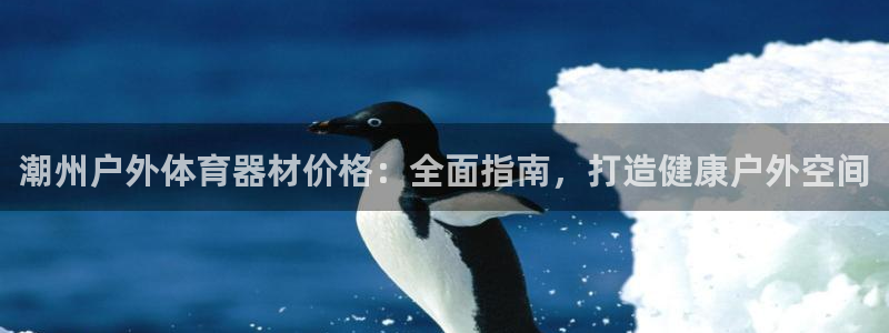 耀世而出：潮州户外体育器材价格：全面指南，打造健康户外空间