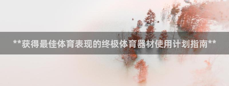 耀世集团王大聪图片：**获得最佳体育表现的终极体育器