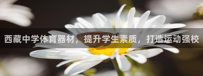 耀世娱乐是不是很黑呀：西藏中学体育器材，提升学生素质，打造运