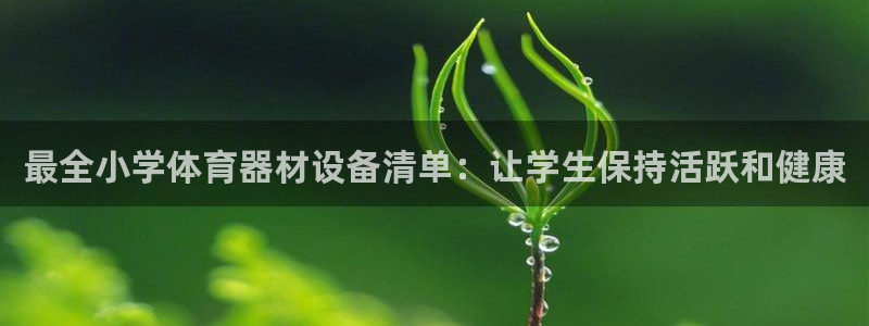 耀世第三关怎么过：最全小学体育器材设备清单：让学生保