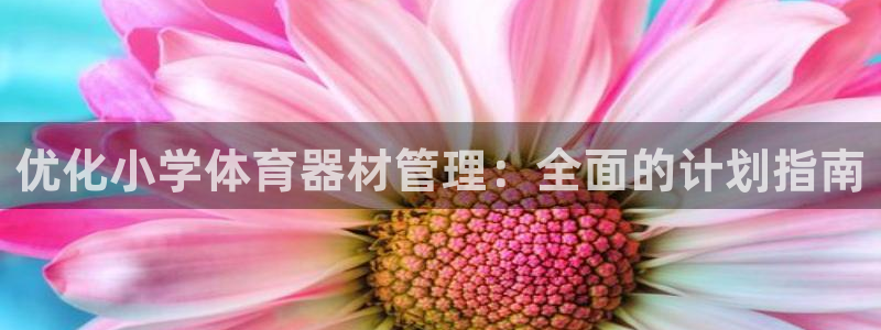 耀世娱乐官网注册流程：优化小学体育器材管理：全面的计