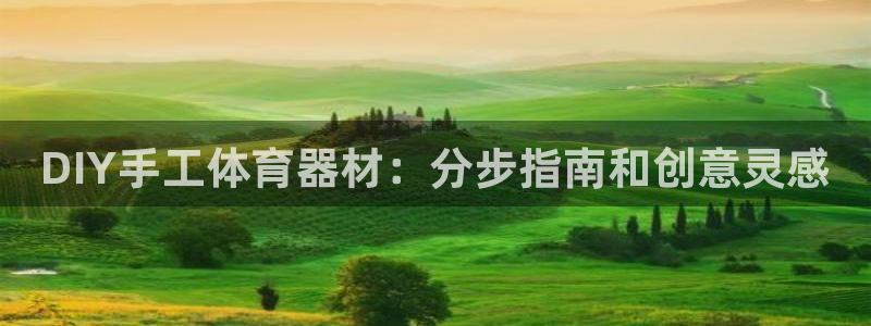 耀世集团王大聪简介：DIY手工体育器材：分步指南和创意灵感