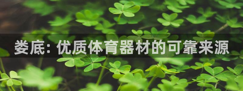耀世平台注册流程：娄底: 优质体育器材的可靠来源