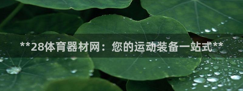 耀世娱乐能提现吗现在：**28体育器材网：您的运动装备一站式