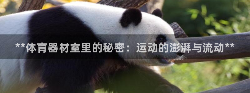 耀世娱乐平台注册地址在哪里：**体育器材室里的秘密：运动的澎