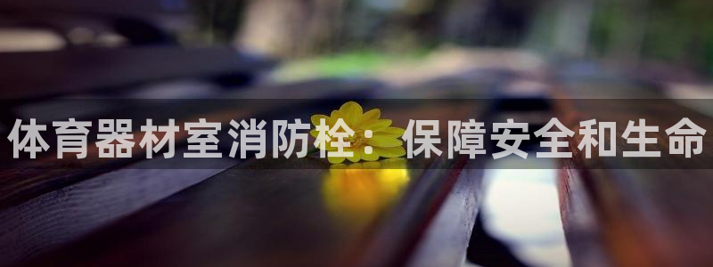 耀世平台开户联4.8.7.7.8.4他系稳定吗：体育器材室消