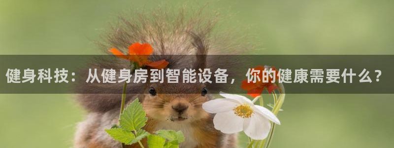 耀世集团小说