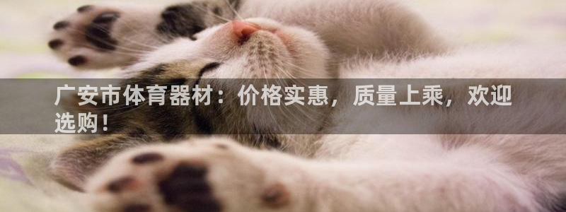 耀世集团做什么的：广安市体育器材：价格实惠，质量上乘