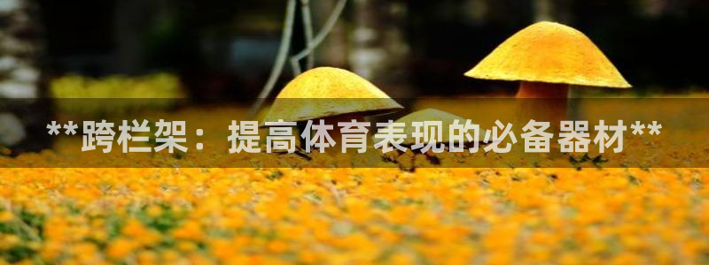 耀世娱乐下载最新版本安装：**跨栏架：提高体育表现的