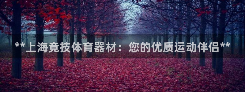 耀世x4：**上海竞技体育器材：您的优质运动伴侣**